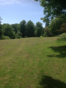 Dog Walking Mill Hill